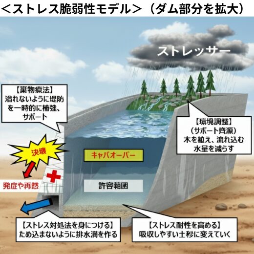 ストレス脆弱性モデルをダムに喩えて、環境調整、薬物療法、ストレス対処法、ストレス耐性が大事と表している図