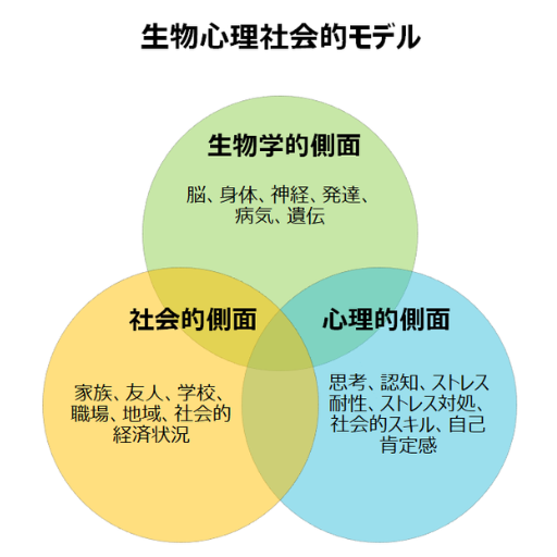 生物心理社会モデルを表した図