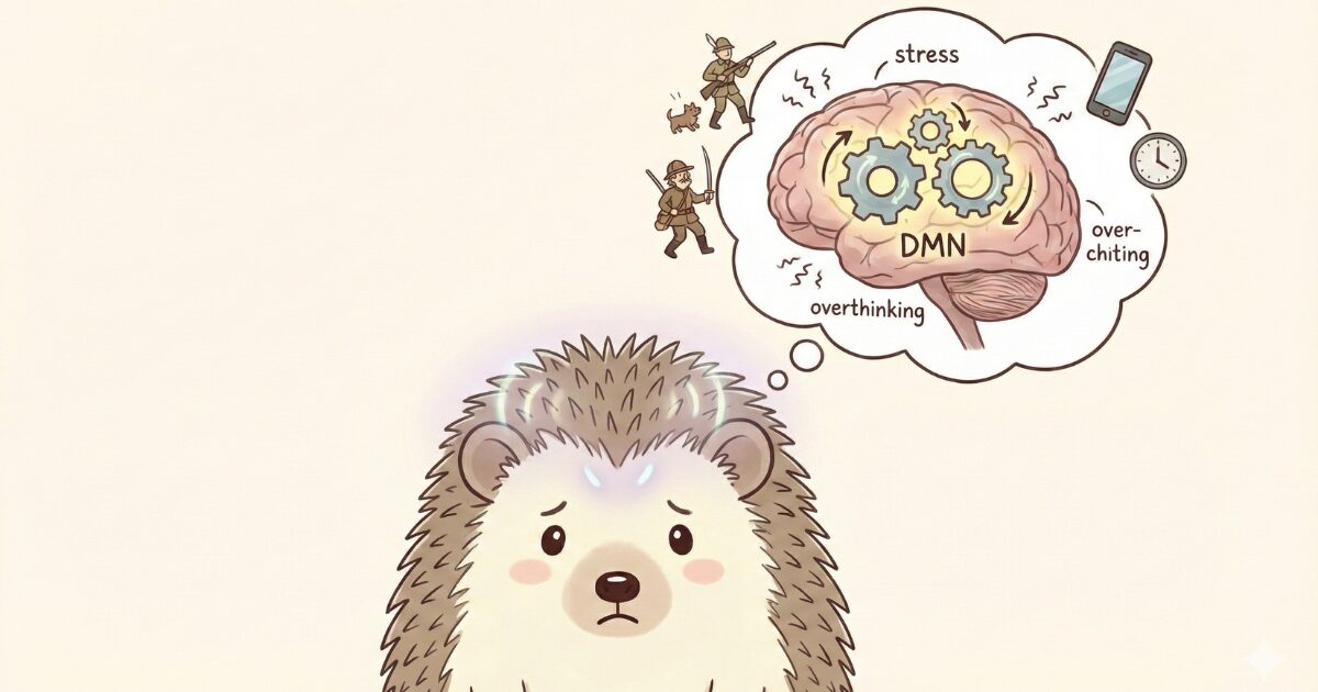 デフォルトモードネットワーク（DMN）を表現したイラスト